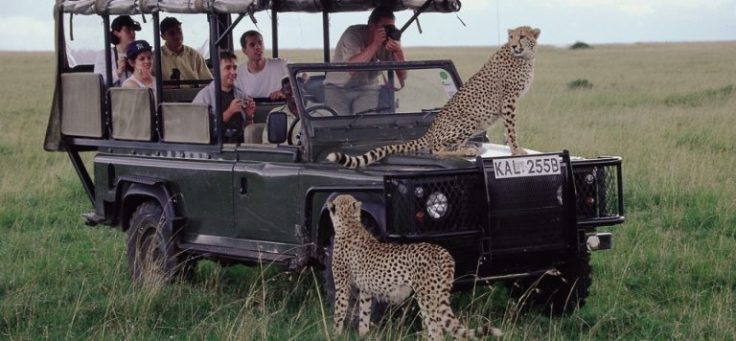 Africa Safari Travel